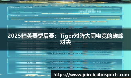 2025精英赛季后赛：Tiger对阵大同电竞的巅峰对决